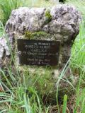 image of grave number 648771